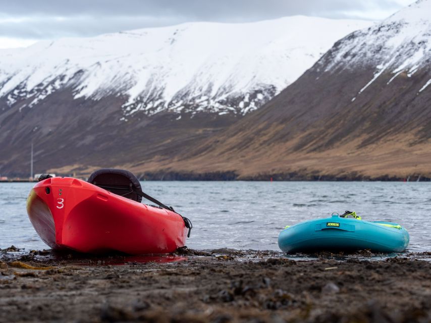 Siglufjörður / Siglufjordur: Guided kayak tour. - Who this tour fits best (and who should skip it)
