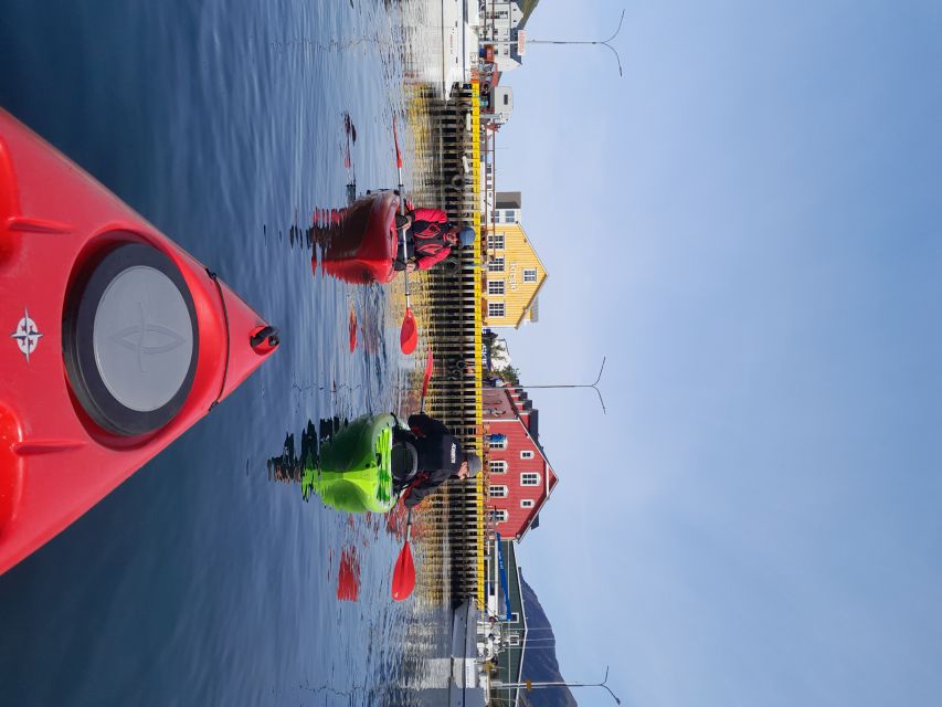 Siglufjörður / Siglufjordur: Guided kayak tour. - Value for money: why $107 can make sense here