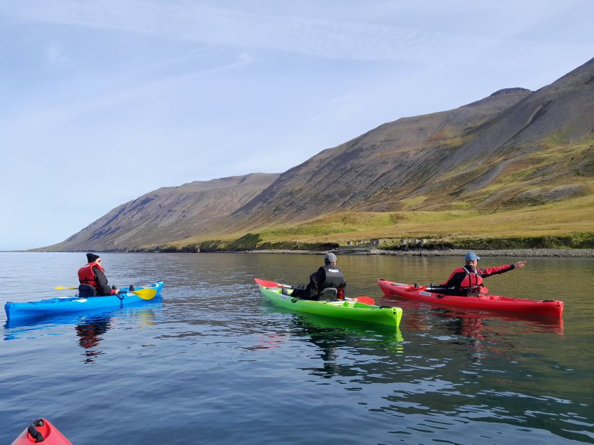 Siglufjörður / Siglufjordur: Private Guided kayak tour. - Evanger Factory ruins and avalanche locations, history you can see