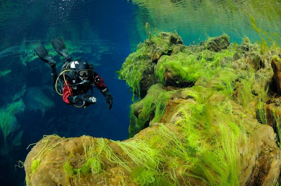 Silfra: Diving Between Tectonic Plates - Who this suits best, and who should think twice