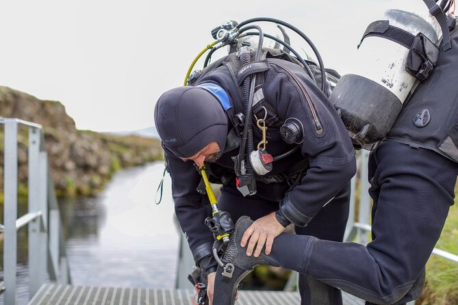 Silfra: Diving Between Tectonic Plates - Meet on Location - Price and value: why $254 can be a smart deal here