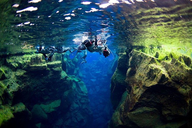 Silfra Fissure Snorkeling From Reykjavík - Free Underwater Photos - Why Silfra snorkeling feels different from other Iceland tours