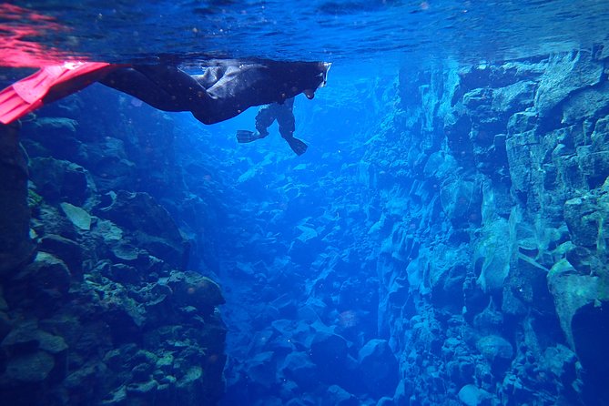 Silfra Fissure Snorkeling From Reykjavík - Free Underwater Photos - Guides and group size: the care you feel during safety checks
