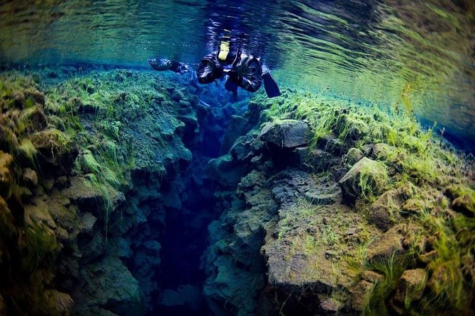 Silfra Fissure Snorkeling From Reykjavík - Free Underwater Photos - Price and value: what you pay for, and what you get back