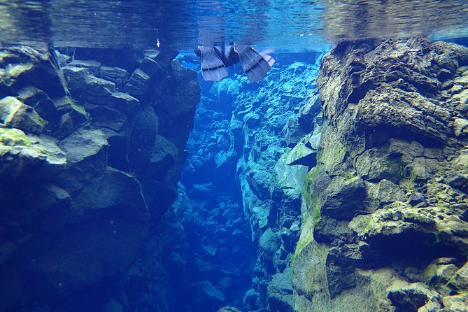 Silfra Fissure Snorkeling From Reykjavík - Free Underwater Photos - Who should book this Silfra tour, and who should skip it