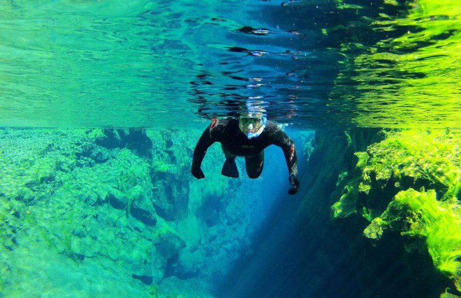 Silfra: Half-Day Snorkeling Day Trip with Underwater Photos - Should You Book This Silfra Snorkeling Tour?