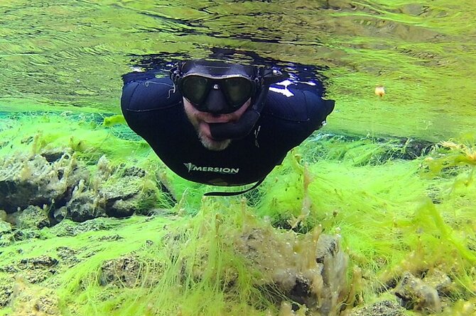 Silfra Night Freedive Tour - Reykjavik timing and the 9pm plan at Thingvellir National Park