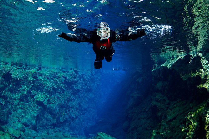 Silfra: Snorkeling Between Tectonic Plates Pick Up from Reykjavik - Guides, Safety, And What Small-Group Time Really Buys You