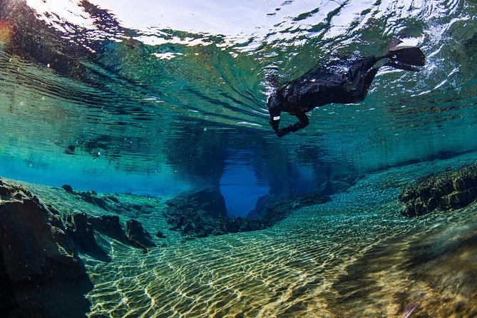 Silfra: Snorkeling Between Tectonic Plates Pick Up from Reykjavik - Value For $225: What You’re Really Paying For