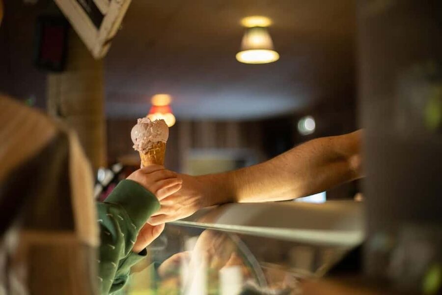 Skarfabakki: Golden Circle Small-Group Full-day Tour - Efstidalur dairy farm and the ice cream stop