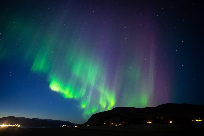 Small Bus Northern Lights Tour from Reykjavik at 9:30 pm - Group Size, English Guidance, and How to Get Answers in Real Time