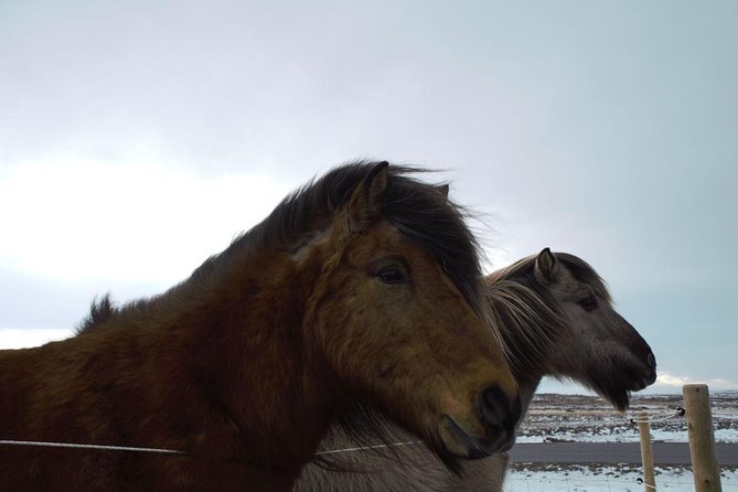 Small-Group Golden Circle Full-Day Tour from Reykjavik - Small-Group Comfort, Guides, and the Difference a “19 Max” Day Makes