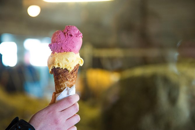 Small-Group Golden Circle Full-Day Tour from Reykjavik - Food, Gear, and Weather: The Stuff That Actually Determines Your Day