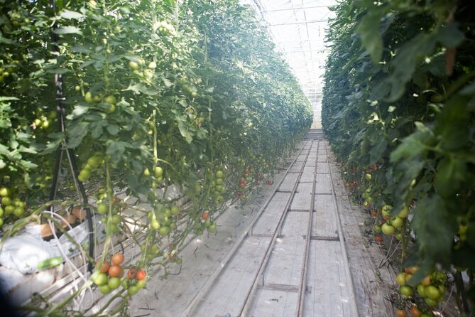 Small Group Golden Circle with Kerid Crater & Tomato Farm Visit - Guides and group size: small is real, but style matters