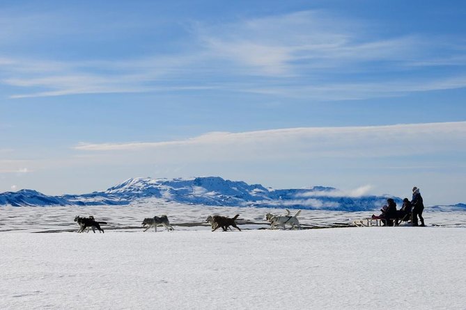 Small Group Husky Sledding Tour from Capital Region - Key Reasons This Husky Sledding Run Works