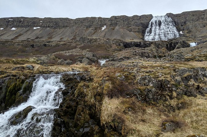 Small Group Tour Ísafjordur Dynjandi Waterfall & Secret Stop - Price and value at $215: what you get for a short Westfjords day