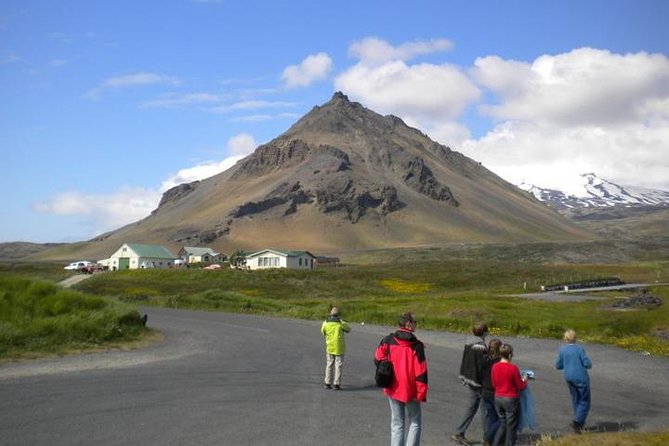 Snaefellsnes National Park and Natural Wonders from Reykjavik - Ytri Tunga first: seals, seabirds, and an easy win