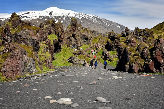 Snaefellsnes NP Small-Group Tour with Local Lunch from Reykjavik - Lunch timing: how Samkomuhúsið Arnarstapa works for your day