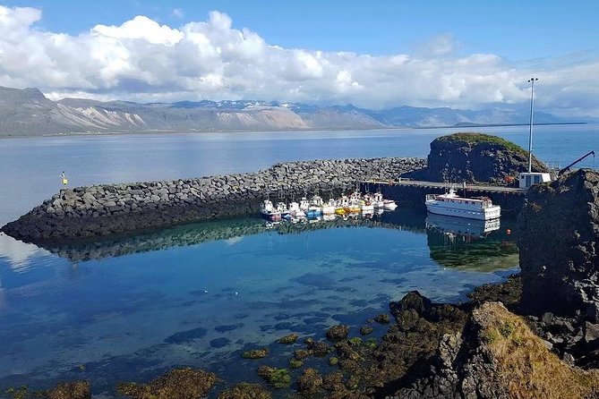 Snaefellsnes Peninsula. Private Day Tour from Reykjavik - Stop 3: Arnarstapi fishing village and the Gatklettur coast walk