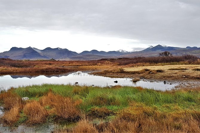 Snaefellsnes Peninsula Private Day Tour - up to 9 passengers - Private Snæfellsnes pacing for up to 9 people