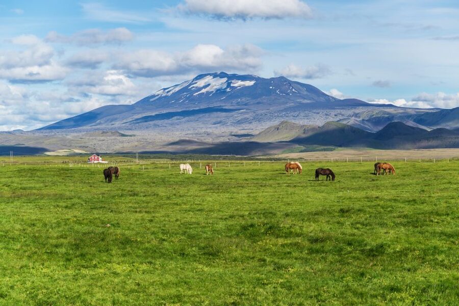 South Coast Classic: Full-Day Tour from Reykjavik - A full-day south coast loop that stays organized