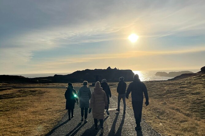 South Coast - Private Tour From Reykjavik. - Dyrhólaey promontory: puffins in summer and a road check in winter