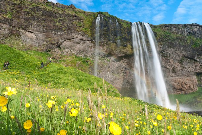 South Coast Sagas: Small Group Tour with Pick-up from Reykjavik - Reynisfjara black sand and a real lunch break in Vik