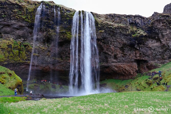 South Coast Tour: Glaciers, Waterfalls & Black Sand Small Group - Reynisfjara black sand beach: obsidian, black gravel, and sea power