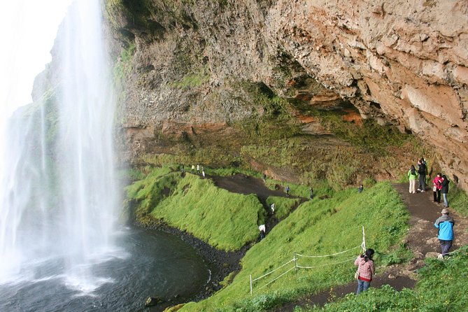 South Coast, Waterfalls and Black Beach Tour from Reykjavik - The Vik Lunch Break: One Hour to Eat, Reset, and Use the Time Well
