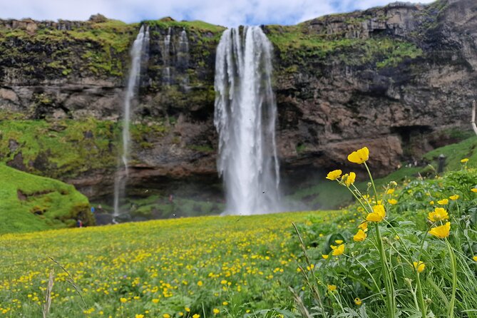 South Iceland, Glacier and Black Sand Beach Small Group Tour - Hotel Pickup and the 10-Hour Reality Check