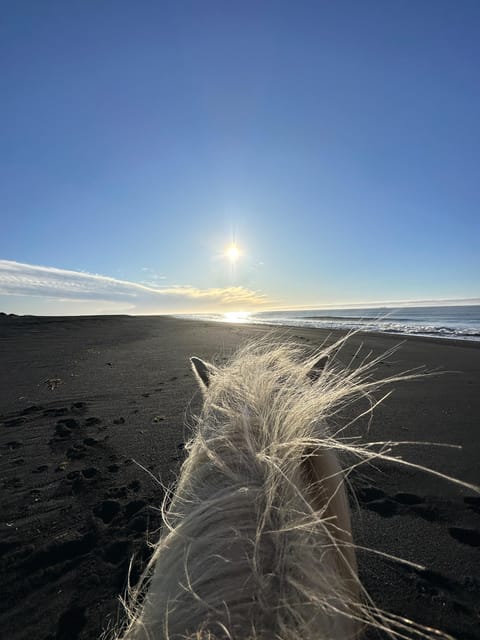 southern Iceland: Black beach riding tour - Key things to know before you go