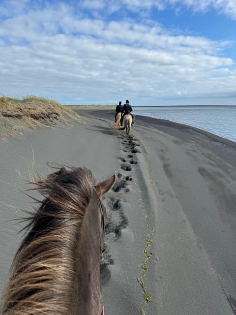 southern Iceland: Black beach riding tour - How the 2-hour black beach ride really unfolds