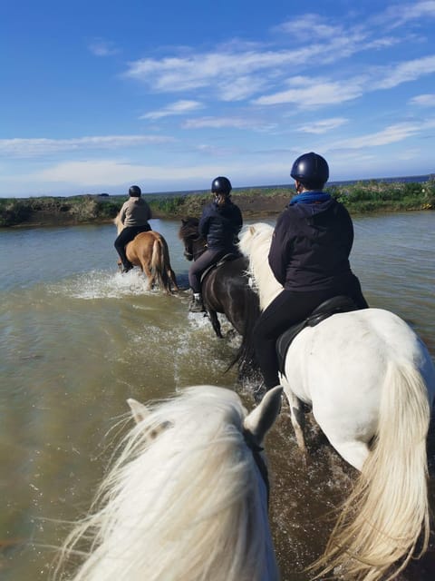 southern Iceland: Black beach riding tour - Tölt: the smooth gait you’ll feel more than hear