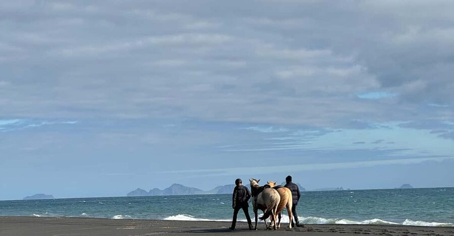 southern Iceland: Black beach riding tour - Who this tour fits, and who should skip it