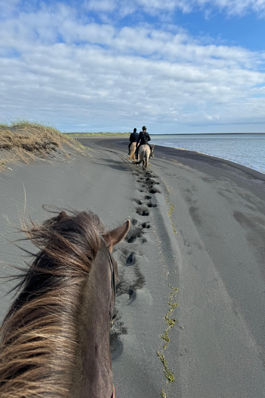 southern Iceland: Black beach riding tour - Local guide energy: the difference you’ll feel in the saddle