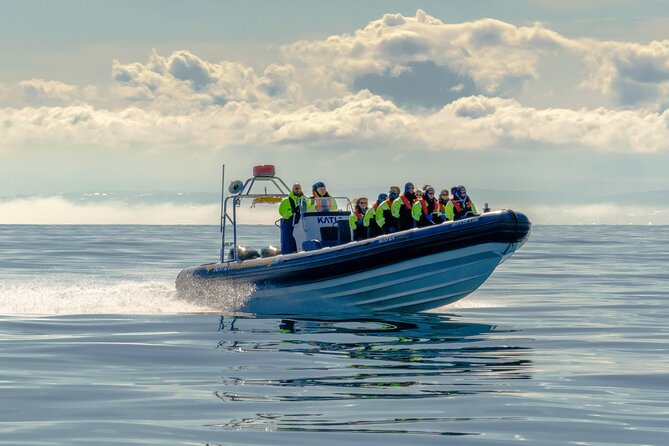 Speedboat Whale Watching Small-Group Tour in Reykjavik - The Whale-Watching Run: What the Crew Tries to Do Fast