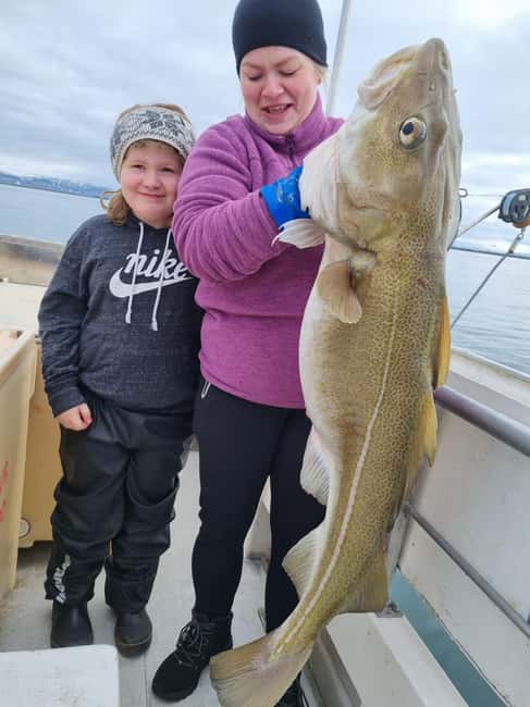 Stykkishólmur: Sea Angling Tour with Local Guide - Where Stykkishólmur Takes You, Breiðafjörður Bay Up Close