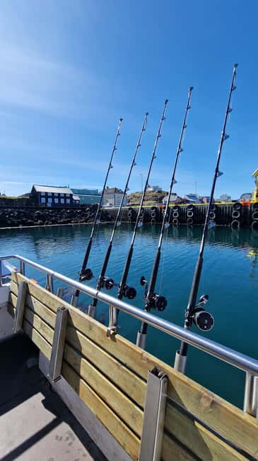 Stykkishólmur: Sea Angling Tour with Local Guide - How the Local Fisherman Finds Spots and Keeps You Fishing