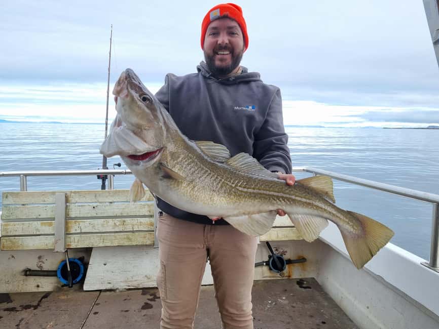 Stykkishólmur: Sea Angling Tour with Local Guide - Itinerary in Real Time: Start in Stykkishólmur, Fish Breiðafjörður, Back in Time
