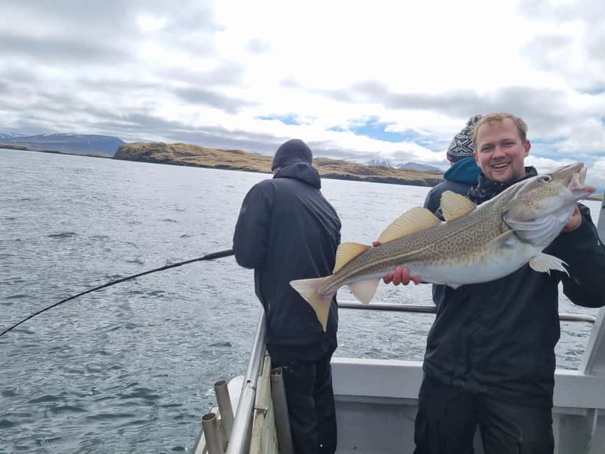 Stykkishólmur: Sea Angling Tour with Local Guide - Price and Value: Is $203 Worth 3 Hours of Cod Fishing?