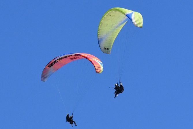 Tandem Paragliding Flights from Vik - What happens once you’re strapped in: safety, basics, and real airtime