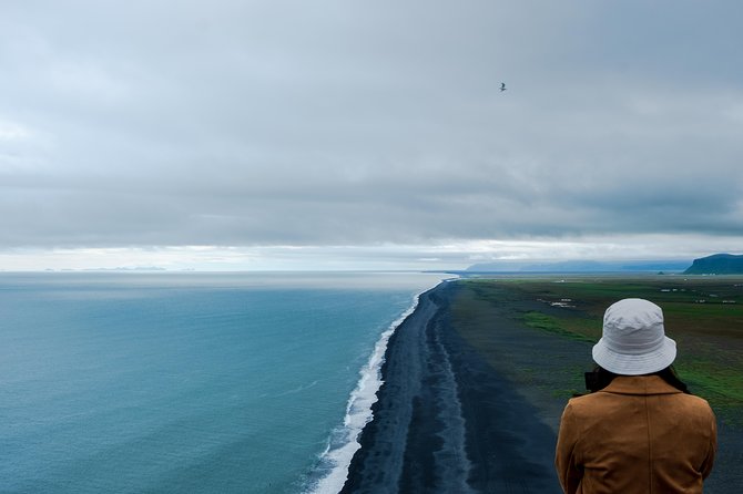 The Mysterious South Coast Private Tour - Dyrhólaey viewpoint: the arch plus cliff-life moments