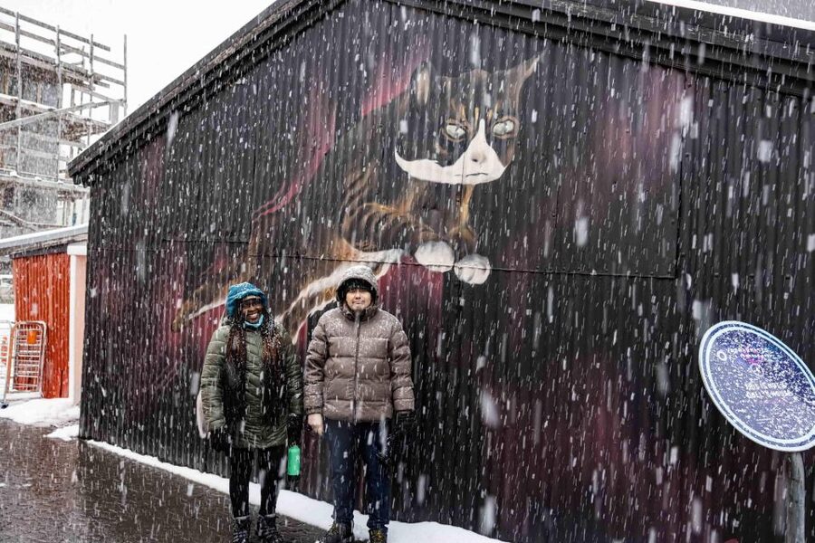 The Private Reykjavik CatWalk - Timing, Weather, and What to Wear for a Smooth CatWalk