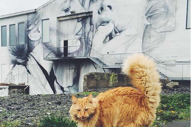 The Reykjavik Cat Walking Tour - How the 2-hour, six-person format really plays out