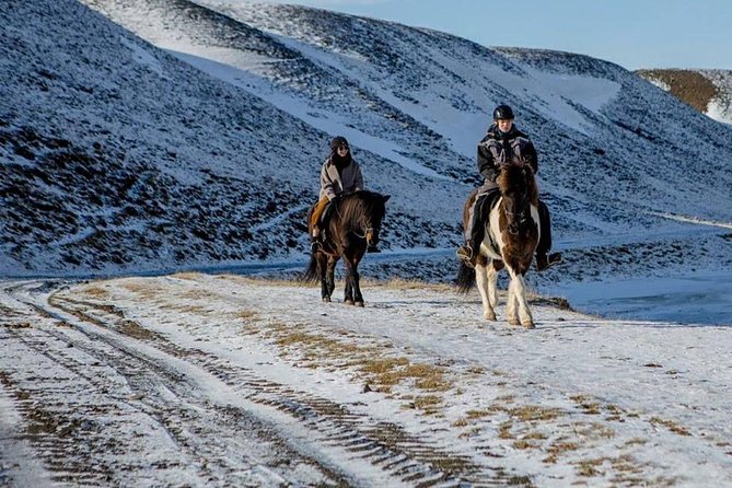 The Viking Horse Riding Experience in North Iceland - Key things you should know before you go