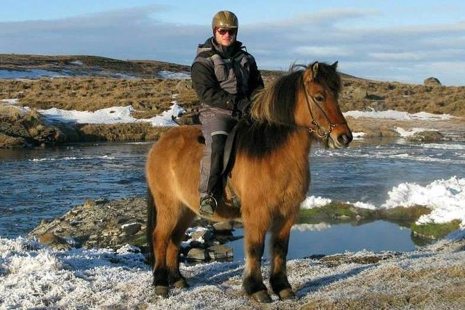The Viking Horse Riding Experience in North Iceland - Learning the Icelandic tölt gait without getting thrown off