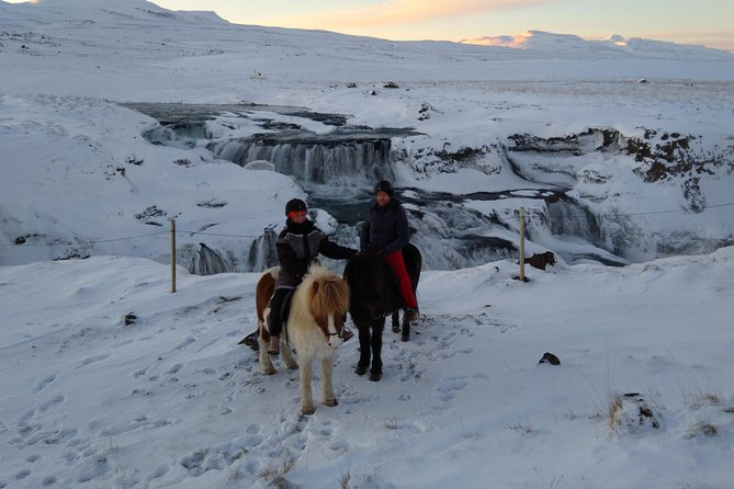 The Viking Horse Riding Experience in North Iceland - Horses, safety, and who this ride fits best