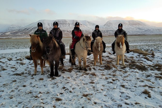 The Viking Horse Riding Experience in North Iceland - What to wear in the Iceland snow so you stay happy