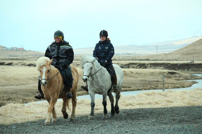 The Viking Horse Riding Experience in North Iceland - Price and value, is $123.75 for 1.5 hours worth it?