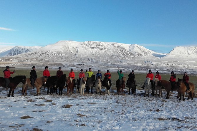The Viking Horse Riding Experience in North Iceland - Where you start at Hestasport, and why 20 minutes matters